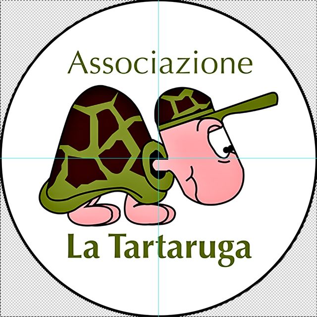 La TartarugaPisa - Centro Medico
