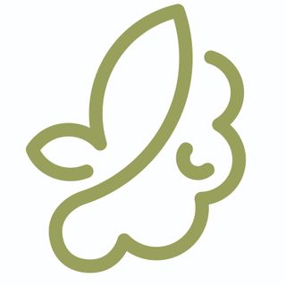 Clínica Etheria especialistas en psicología