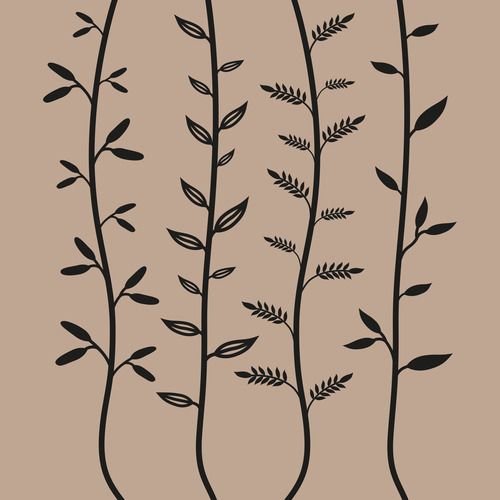 Ana Barrios QuiroprácticaCáceres - 