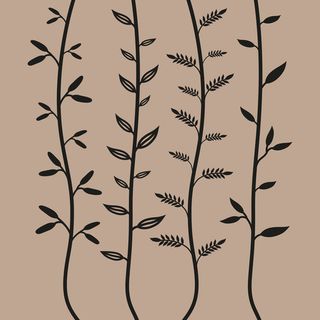 Ana Barrios Quiropráctica