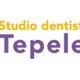 STUDIO DENTISTICO TEPELEA SRL logo