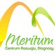Meritum Centrum Rozwoju, Diagnozy i Terapii