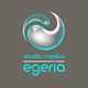 Centro Medico Egeria logo