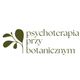 Psychoterapia Przy Botanicznym logo