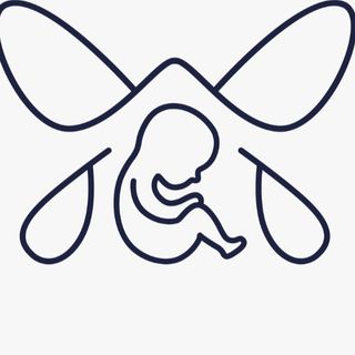 Clínica de Fisioterapia Pilar Sanz