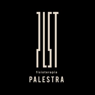 PALESTRA fisioterapia