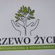 Drzewo Życia Pomoc Psychologiczna&Psychoterapeutyczna logo