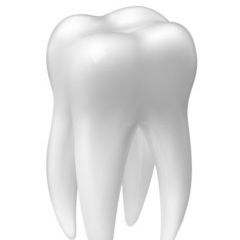 Clínica y Laboratorio Dental Jes Ma