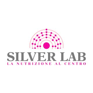 Silver Lab