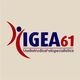 IGEA 61 SRL logo