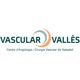 Vascular Vallès logo