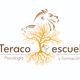 Teraco Escuela logo