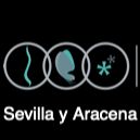 Kinesis CenterSevilla - 