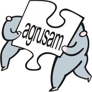 AGRUSAM Canarias SL