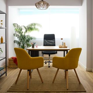 Activital Psicólogos II