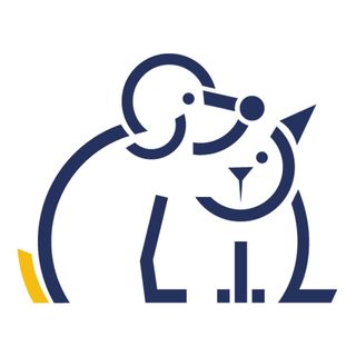 Avetia- Spezialklinik für Hunde und Katzen