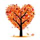 Cardiologia Padilla & Moure