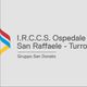 IRCCS Ospedale San Raffaele Turro