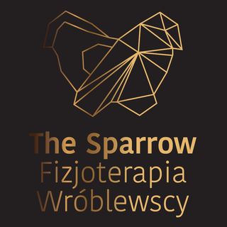 Robert Wróblewski Fizjoterapia