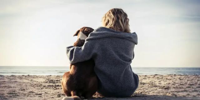 Ingrandire l'immagine: 