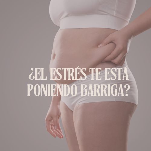 Acercar imagen: 